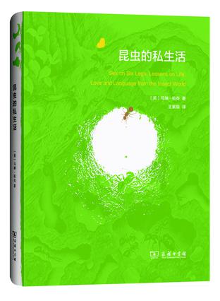 《昆蟲(chóng)的私生活》：鮮為人知的昆蟲(chóng)世界