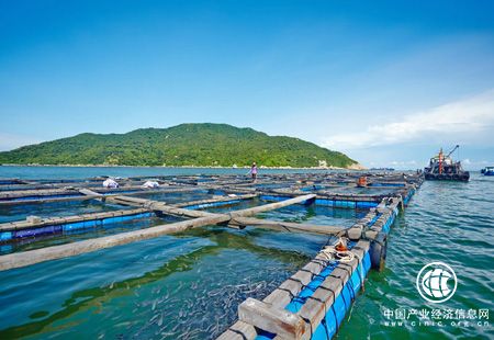 沿海地區(qū)加快布局 海洋經(jīng)濟(jì)數(shù)萬億級(jí)市場(chǎng)空間有望開啟