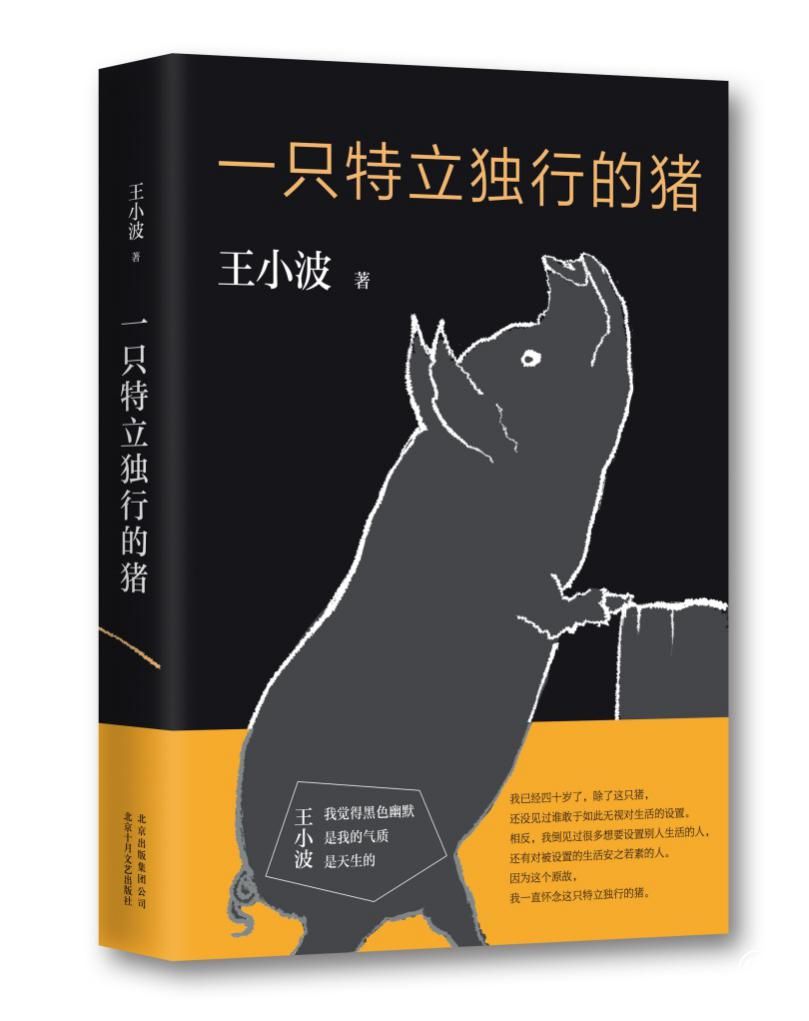 王小波：張愛玲的小說(shuō)有種不同凡響之處