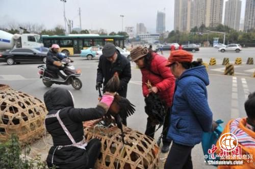 資料圖：街頭攤販。任東 攝