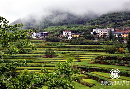 生態(tài)建設(shè)與耕地保護(hù)豈能顧此失彼？