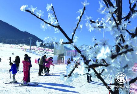 做大做強東北冰雪旅游 讓