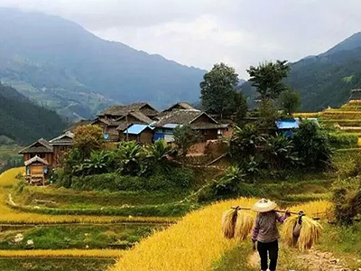 旅游扶貧送春風 致富之花次第開