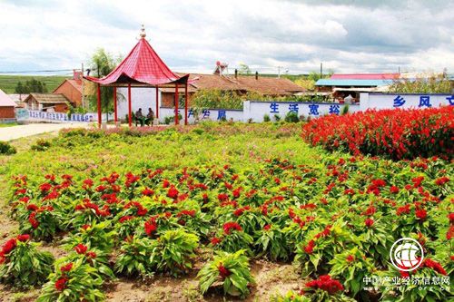 黑龍江以鄉(xiāng)村旅游示范點創(chuàng)建為抓手促進農旅融合