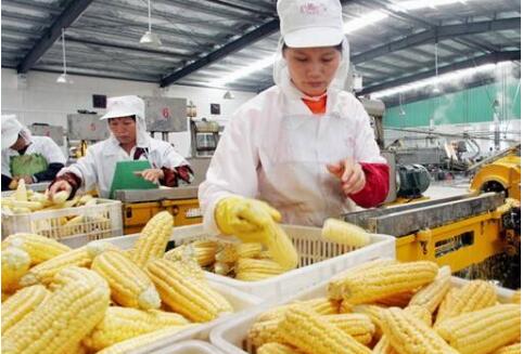 70年，我國食品工業(yè)面貌發(fā)生翻天覆地變化