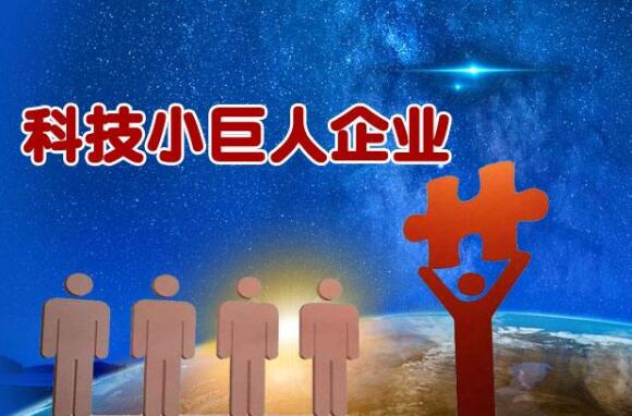 今年超千家“小巨人”企業(yè)將獲財(cái)政獎(jiǎng)補(bǔ)支持