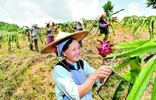 貴州脫貧人口外出務工規(guī)模達335.6萬人