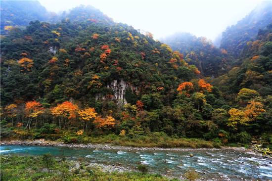 四川聚焦五大重點(diǎn)區(qū)域 筑牢生態(tài)屏障