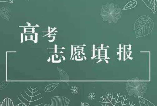 高考志愿填報有哪些注意事項？高校招辦主任來支招