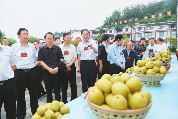 全國產(chǎn)業(yè)扶貧工作推進(jìn)會現(xiàn)場考察走進(jìn)蒼溪 參會代表點贊減貧奇跡