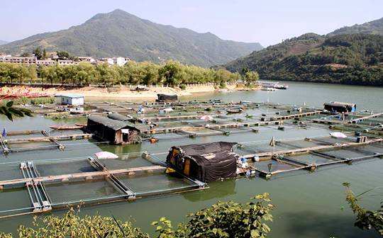 福建漳州持續(xù)推進產(chǎn)學研融合，全面推廣水產(chǎn)優(yōu)新品種