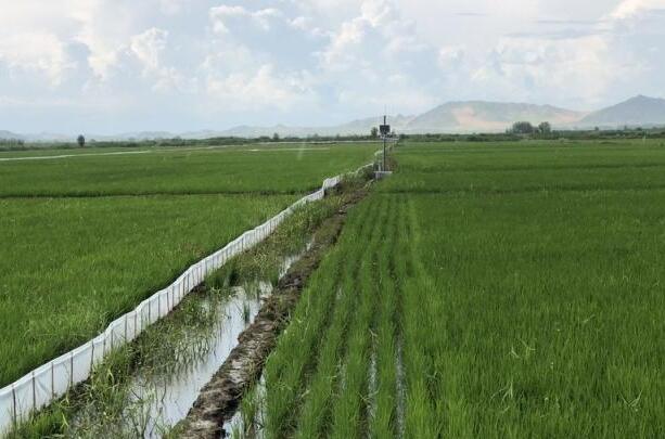 上半年內(nèi)蒙古自治區(qū)旅游人數(shù)和收入均創(chuàng)歷史新高