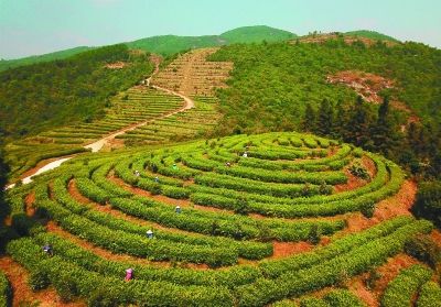 江西生態(tài)扶貧輻射帶動近7萬貧困人口實(shí)現(xiàn)基本脫貧