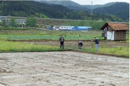 由南至北 四川春耕大幕開啟