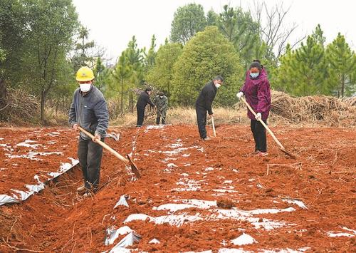 河南：項目建設(shè)加速 民生幸福加碼