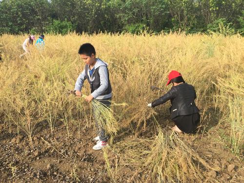 幼兒園階段適合引入勞動教育——關(guān)于3至6歲學(xué)齡前幼兒教育的探索