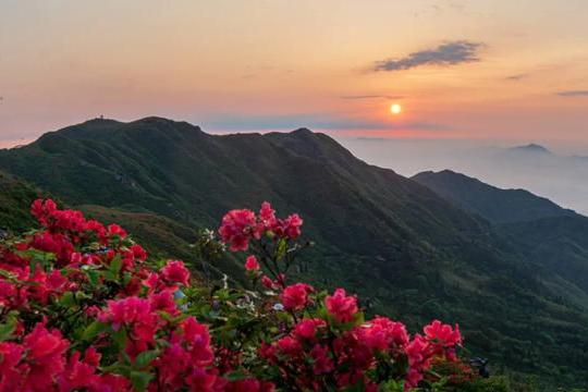 北京推出“從花海到花港”夏季精品旅游線路