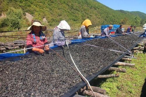 吉林延邊構(gòu)建產(chǎn)業(yè)扶貧項(xiàng)目收益分配特色模式