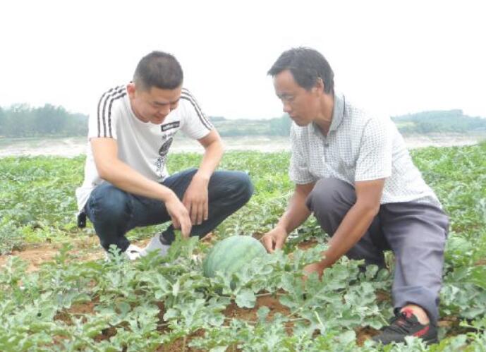 河南省南召縣退役軍人朱元 廣闊天地里寫(xiě)青春