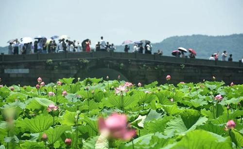 端午假期前兩日全國(guó)接待國(guó)內(nèi)游客3707.7萬(wàn)人次