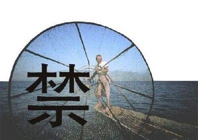 守護母親河重現(xiàn)生機——多部門回應(yīng)長江禁捕熱點問題