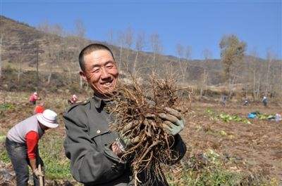 今年前三季度脫貧人口收入增速繼續(xù)高于全國(guó)農(nóng)村平均水平