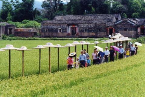 2021年前三季度國(guó)內(nèi)旅游數(shù)據(jù)情況