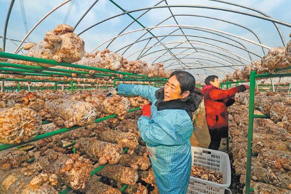 2020年河南省新增農(nóng)村勞動力轉(zhuǎn)移就業(yè)45.81萬人