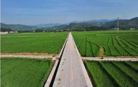 農(nóng)村土地經(jīng)營權流轉四問——解析《農(nóng)村土地經(jīng)營權流轉管理辦法》亮點