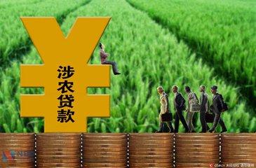 2020年我國涉農(nóng)貸款余額同比增長10.7%