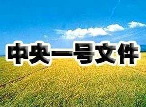 2023年中央一號文件公布 提出做好2023年全面推進(jìn)鄉(xiāng)村振興重點(diǎn)工作