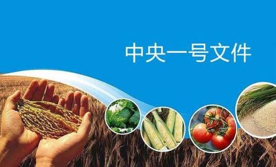 中央一號文件發(fā)布 錨定糧食安全等重點(diǎn)任務(wù)