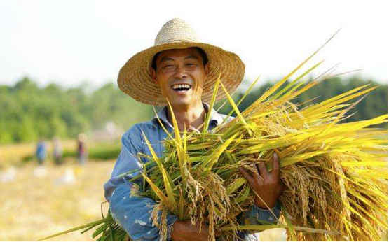 廣東推動各類人才助力鄉(xiāng)村振興 讓農(nóng)民就地過上現(xiàn)代生活