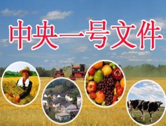 2024年中央一號(hào)文件公布 提出推進(jìn)鄉(xiāng)村全面振興“路線圖”