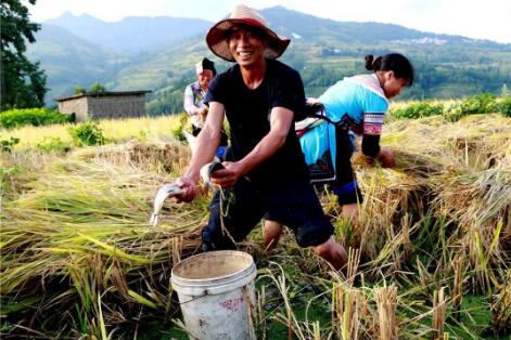 實(shí)現(xiàn)大規(guī)模減貧經(jīng)驗(yàn)值得借鑒！中國對世界減貧的貢獻(xiàn)率超70%