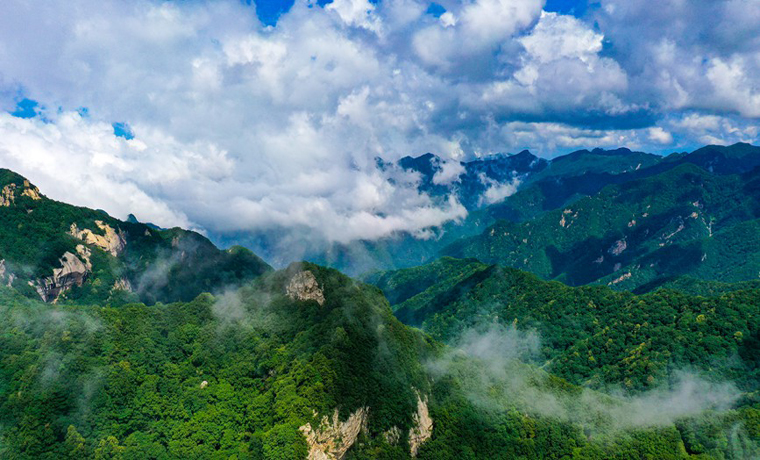 “中原之巔”煥新顏 河南小秦嶺礦山修復(fù)紀(jì)實(shí)