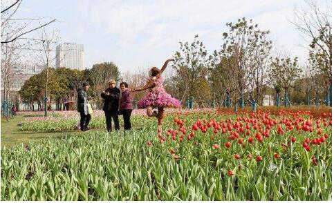 上海世博會址變身“寶藏”公園