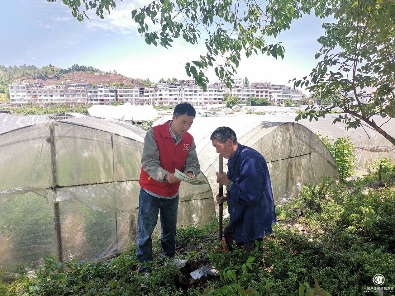  浙江泰順煙草：發(fā)揮“香溢”志愿服務(wù)“三力” 推動(dòng)農(nóng)村普法“走心”