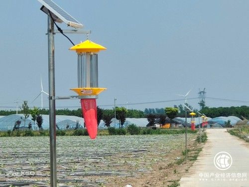 河南建安：煙葉變金黃，“綠色”來幫忙