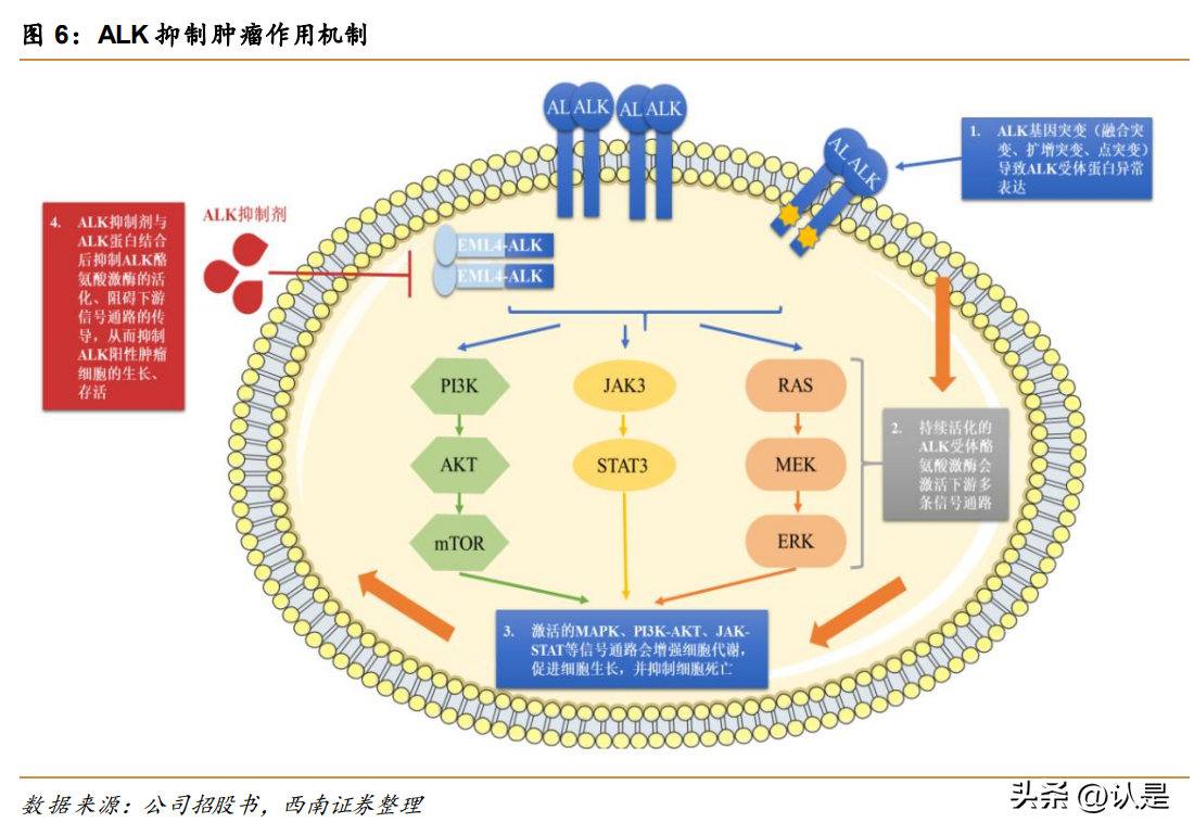 研究報(bào)告：這些新藥有望成為國內(nèi)“首款”