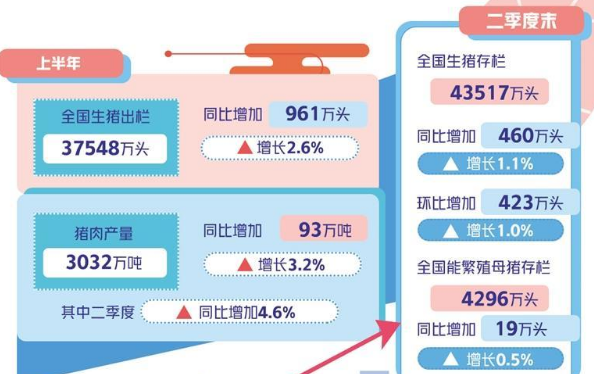 今年以來價(jià)格持續(xù)低迷，專家預(yù)計(jì)下半年豬價(jià)或溫和回升