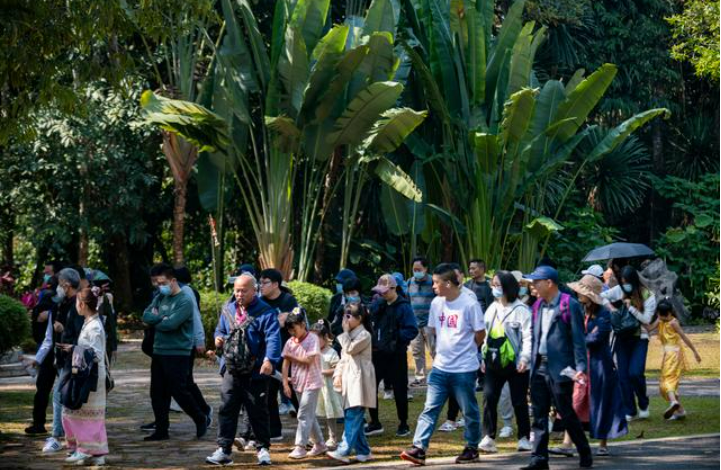 上半年旅游市場加速向好 出行消費提升顯著