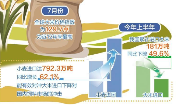 國際米價(jià)高企對(duì)我國影響有限