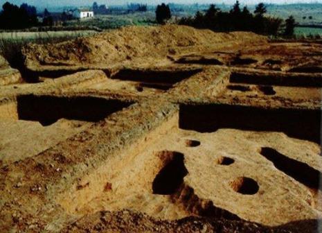 駱駝墩遺址：填補太湖西部7000年前考古學(xué)文化空白