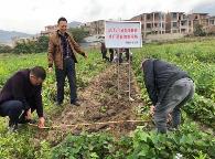 福建省實(shí)施農(nóng)技推廣“雙百”計(jì)劃