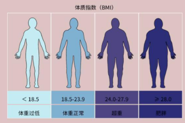 2024年版居民體重管理核心知識發(fā)布