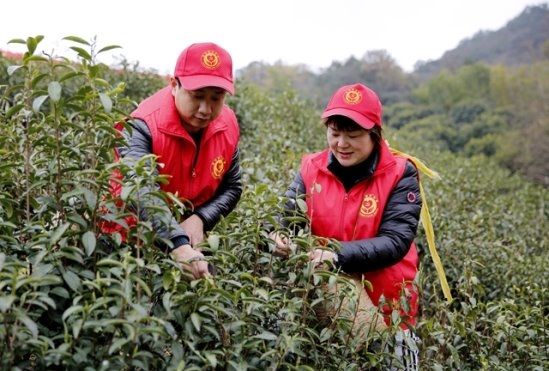 青春執(zhí)筆 繪就志愿服務(wù)色彩